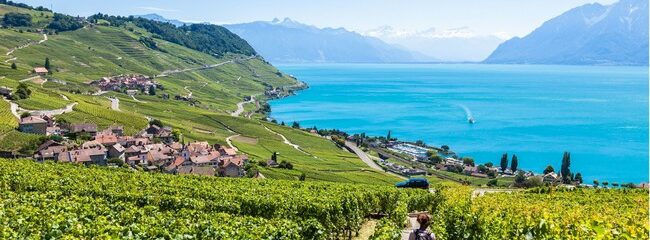 promeneur dans vignes au dessus lac avec montagne en fond