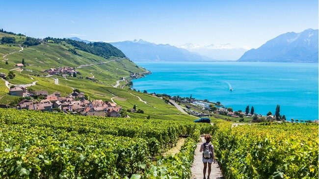 promeneur dans vignes au dessus lac avec montagne en fond